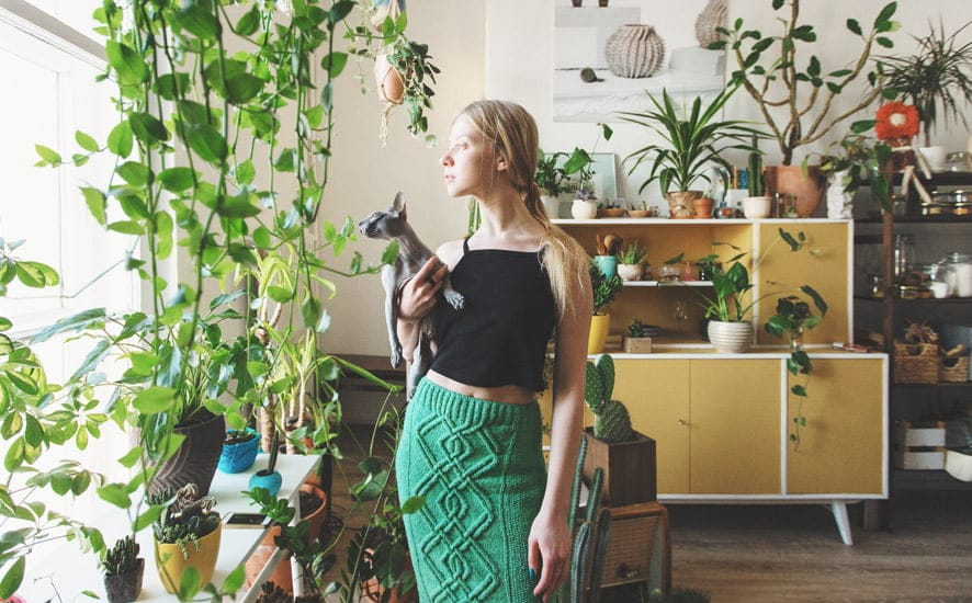 ¿Qué es una peluquería ecológica y cuales son sus objetivos?