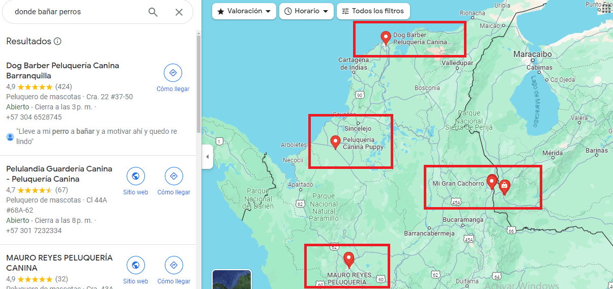 Donde bañar perros cerca de mi ubicación