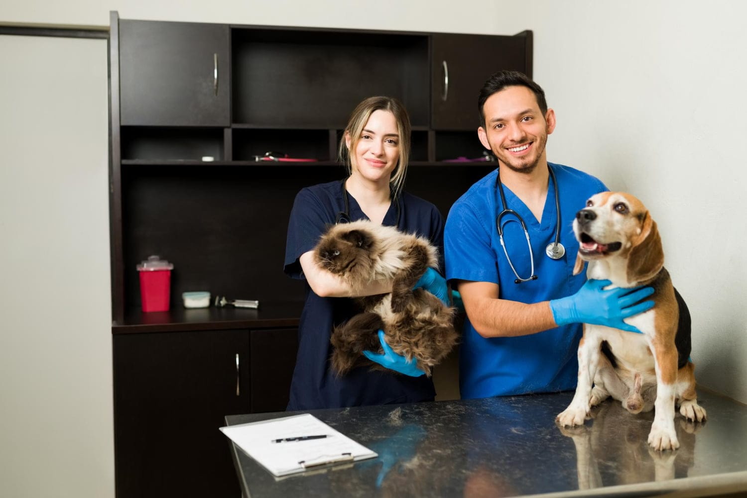 Veterinario cerca de mi ubicacion