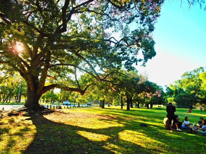 ¿Cada cuánto debemos visitar un parque al aire libre?