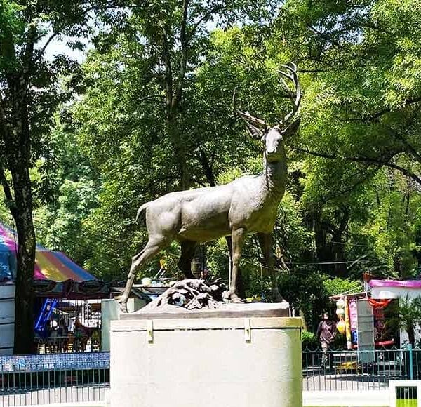 Parque de los venados cerca de mi ubicación Parque de los venados cerca de mi ubicación
