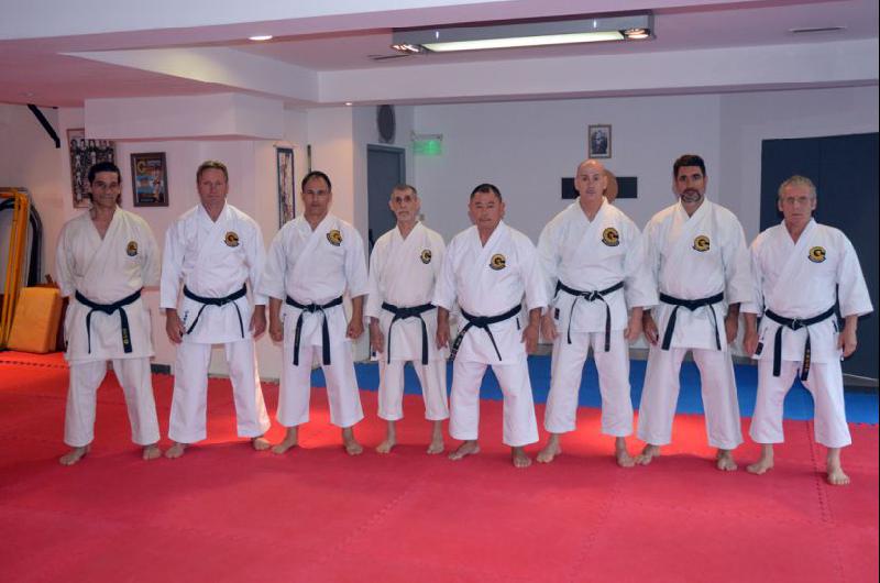 ¿Qué son las escuelas de karate? Características