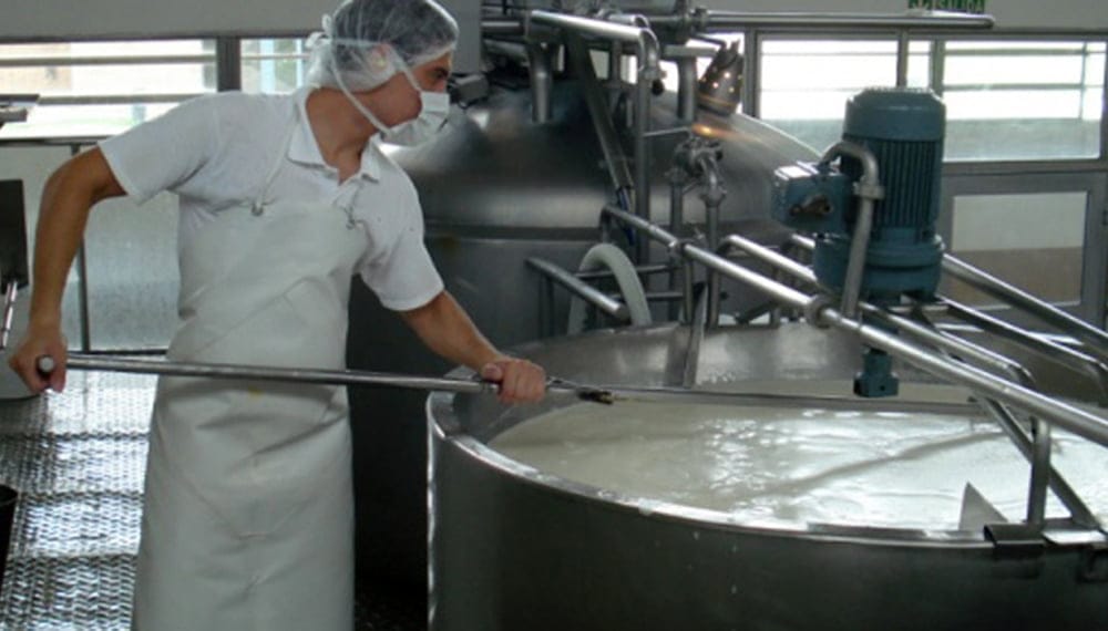 Conoce el proceso de producción de la leche