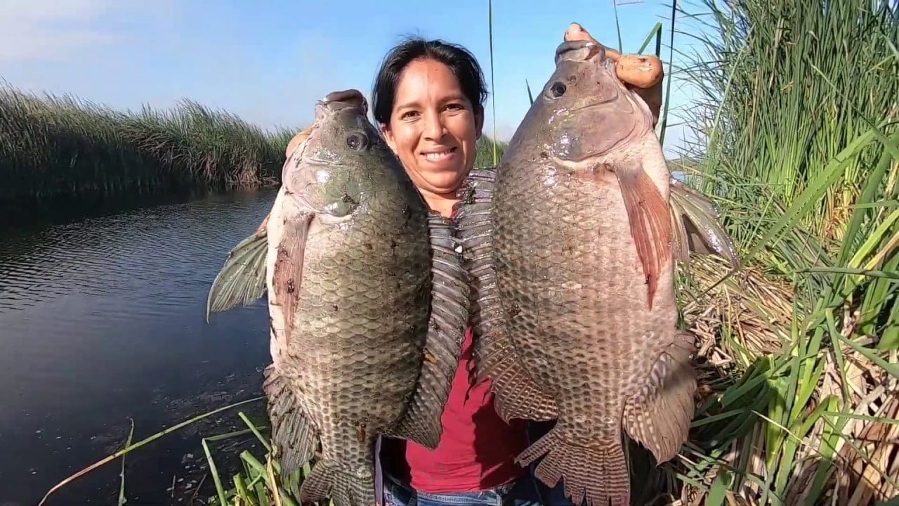 Tilapia lugares para pescar cerca de mi ubicación