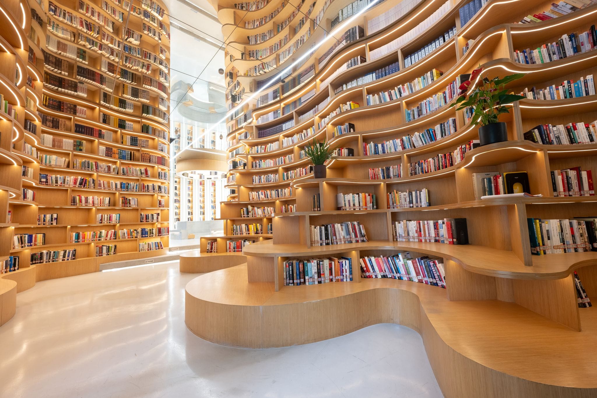 ¿Cómo encontrar librerías en español?