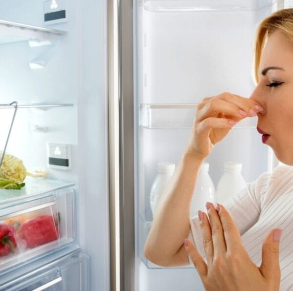 Cómo puedo identificar problemas comunes en un refrigerador Cómo puedo identificar problemas comunes en un refrigerador