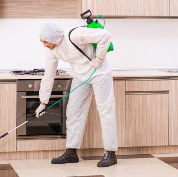 Fumigadores de casas cerca de mi ubicación Fumigadores de casas cerca de mi ubicación