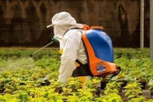 Fumigadores de plantas cerca de mi ubicación