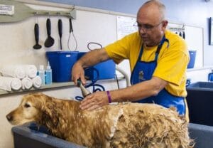 Lugares para bañar perros cerca de mi ubicación