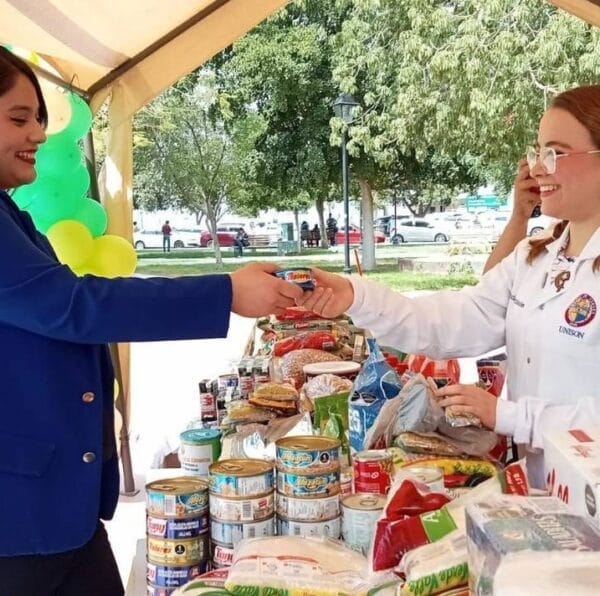 Tipos de alimentos disponibles en las despensas comunitarias